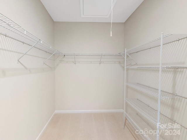 walk in closet featuring carpet flooring