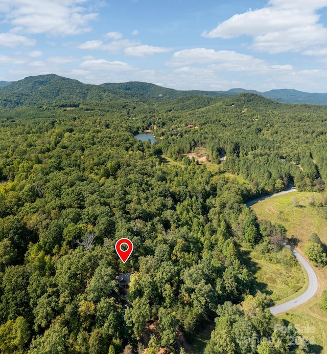 117 Laurel Lakes Pkwy, Lake Lure, NC 28746 - aerial view of property's location with a heavily wooded area and a mountain backdrop