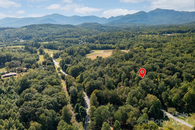 bird's eye view with a mountain view