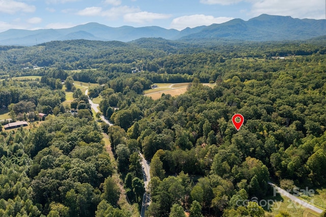117 Laurel Lakes Pkwy, Lake Lure, NC 28746 - bird's eye view of a heavily wooded area and mountains