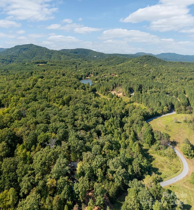 birds eye view of property featuring a mountain view