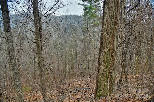 390 Vance Gap Rd Unit 2, Asheville NC, 28804 land for sale