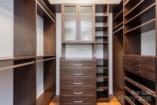 spacious closet featuring wood-type flooring