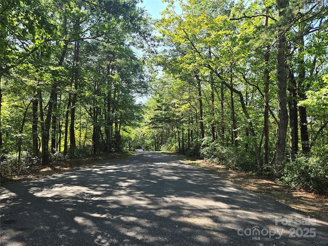 Listing photo 3 for LOT152 Sullivan Ln, Lake Lure NC 28746