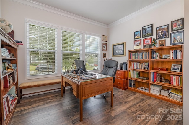 office area featuring dark wood-type flooring and crown molding