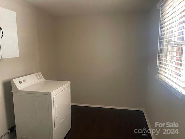 clothes washing area featuring cabinets and washer / clothes dryer