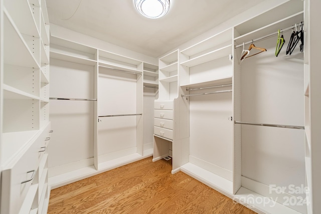 walk in closet with hardwood / wood-style flooring