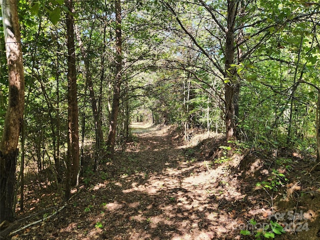 view of nature with a view of trees