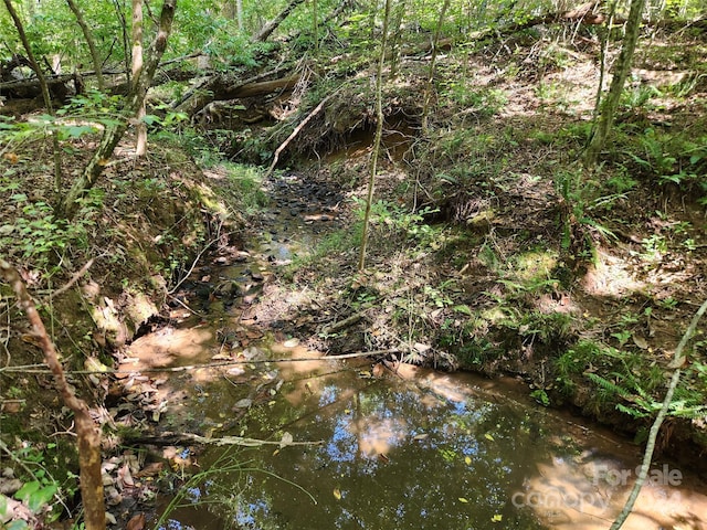 view of local wilderness