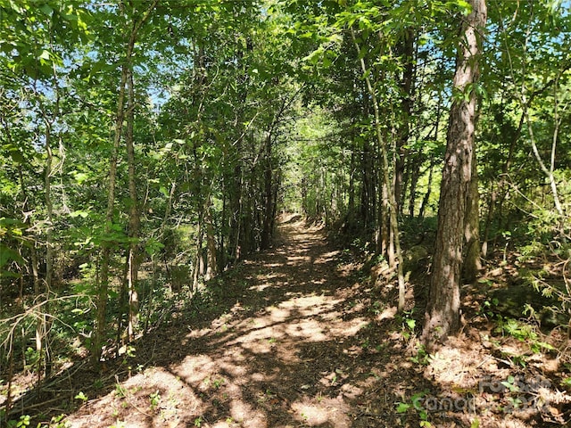 view of landscape featuring a forest view