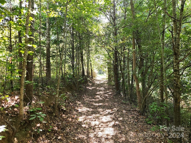 view of street with a wooded view