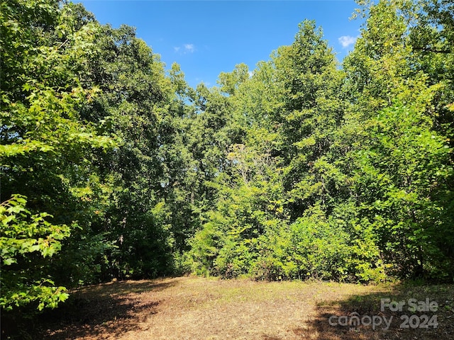 view of local wilderness featuring a forest view