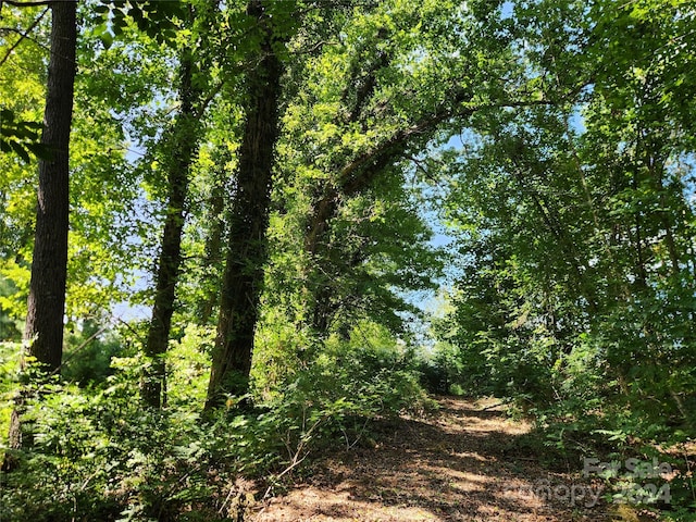 view of nature with a view of trees