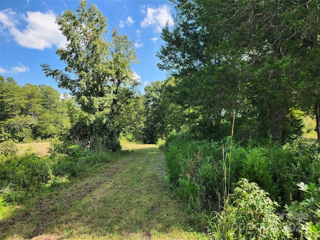 view of local wilderness featuring a forest view