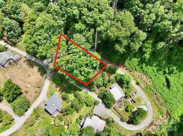 167 Rock Broad River Rd, Hendersonville NC, 28792 land for sale