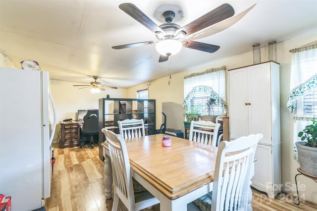 dining area with plenty of natural light, light hardwood / wood-style flooring, and ceiling fan