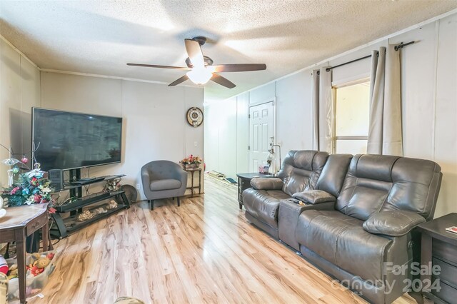 living room with ceiling fan, ornamental molding, light hardwood / wood-style floors, and a textured ceiling