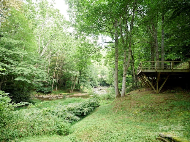 245 Tom Laws Ln, Elk Park, NC 28622 - photo 34