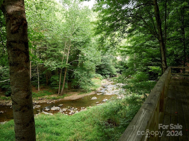 245 Tom Laws Ln, Elk Park, NC 28622 - photo 38