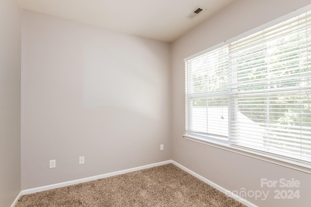 spare room with carpet floors