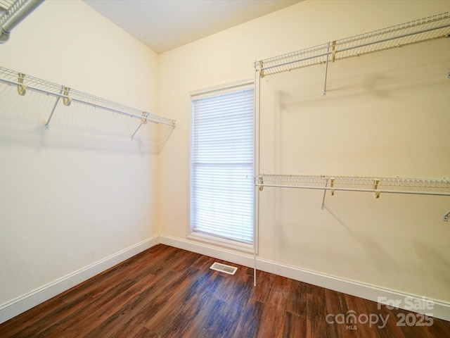 spacious closet with dark hardwood / wood-style floors