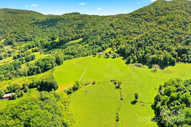 840 Ed Williams Rd, Zionville, NC 28698 - photo 6