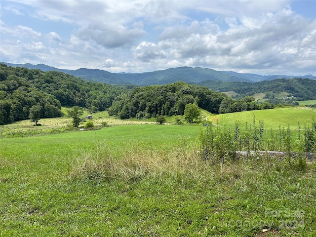 840 Ed Williams Rd, Zionville, NC 28698 - photo 8