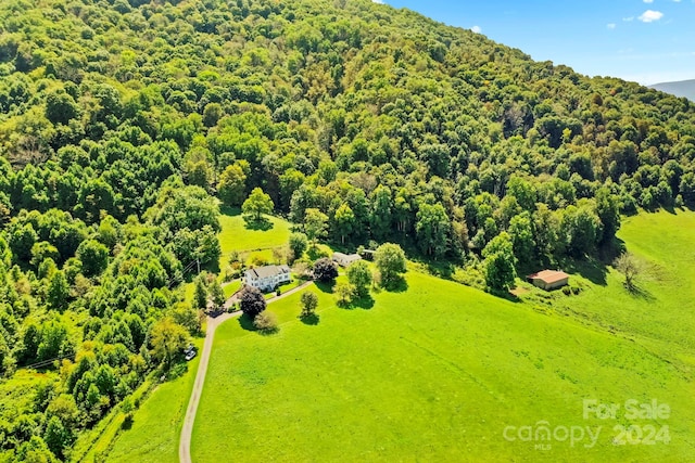 840 Ed Williams Rd, Zionville, NC 28698 - photo 11