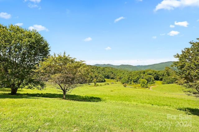840 Ed Williams Rd, Zionville, NC 28698 - photo 17
