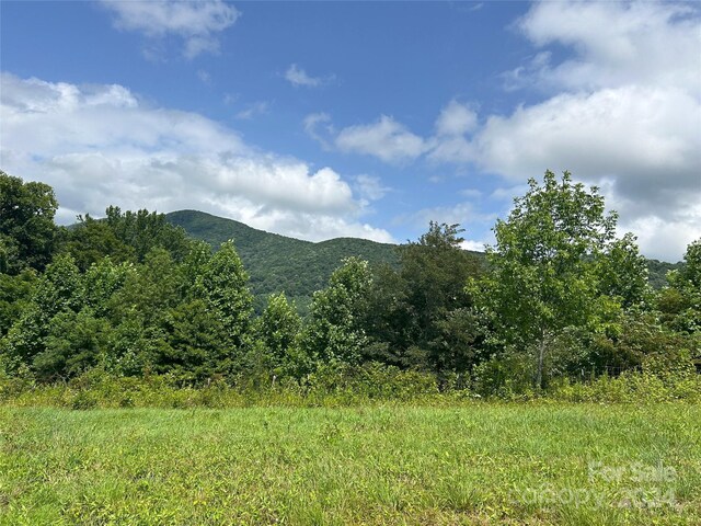 840 Ed Williams Rd, Zionville, NC 28698 - photo 24