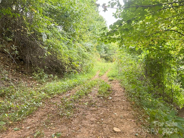840 Ed Williams Rd, Zionville, NC 28698 - photo 28
