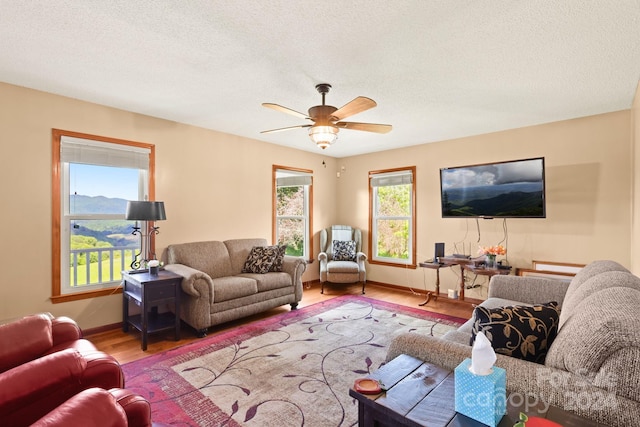 840 Ed Williams Rd, Zionville, NC 28698 - photo 36