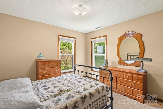 840 Ed Williams Rd, Zionville, NC 28698 - photo 45