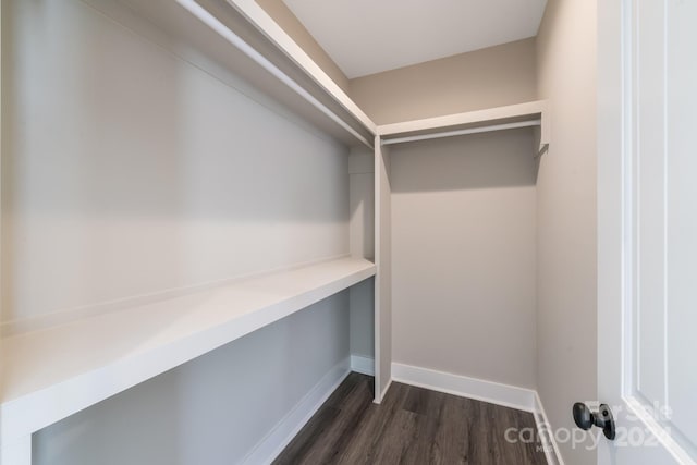 spacious closet featuring dark wood-type flooring and built in desk