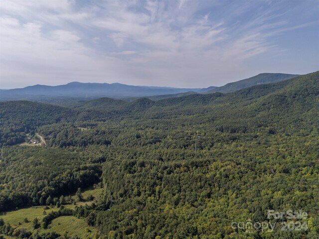 view of mountain feature