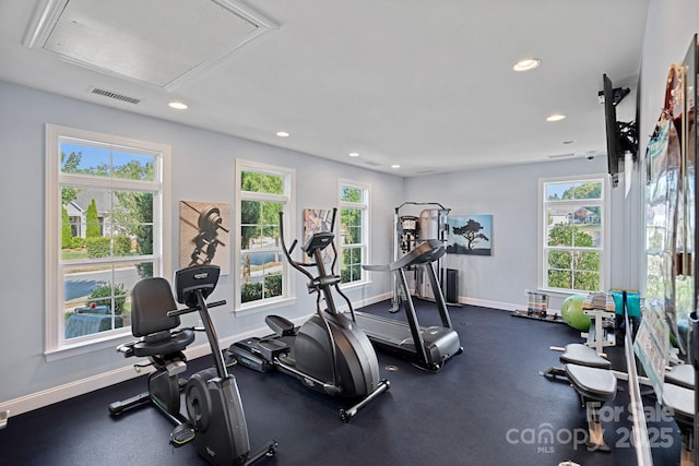 workout room featuring a healthy amount of sunlight