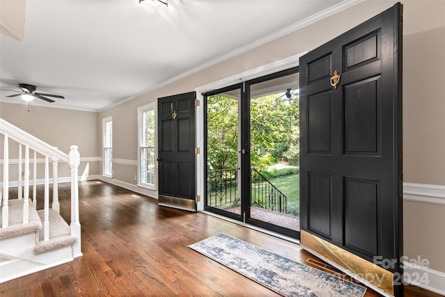 entrance foyer with dark hardwood / wood-style flooring, a wealth of natural light, and ceiling fan