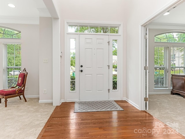 carpeted foyer entrance featuring ornamental molding and plenty of natural light