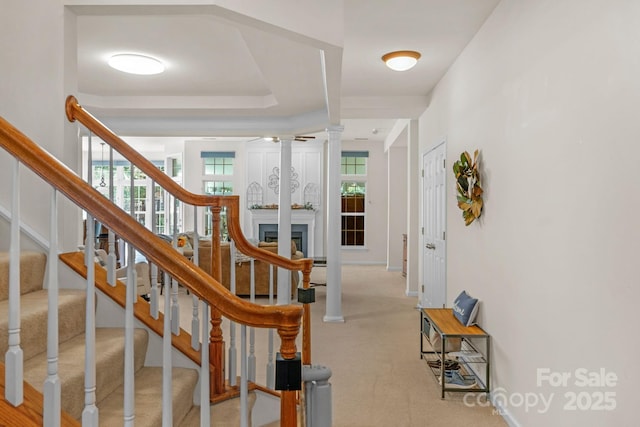 stairway featuring carpet floors