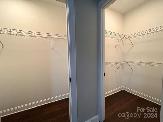 walk in closet with dark wood-type flooring