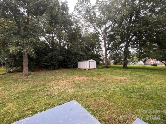 view of yard featuring a shed