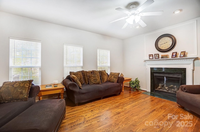 living room with ceiling fan and light hardwood / wood-style flooring