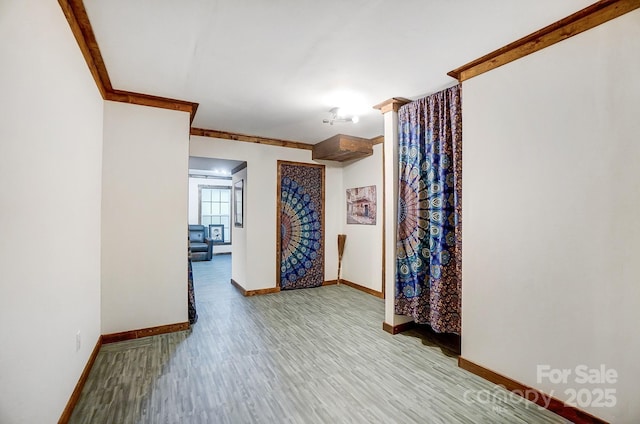 spare room featuring light hardwood / wood-style floors and crown molding