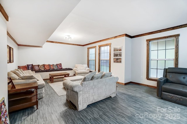 living room with crown molding and dark hardwood / wood-style flooring