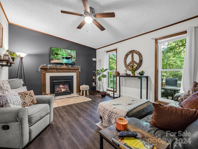 living room featuring ceiling fan, a textured ceiling, dark hardwood / wood-style floors, and plenty of natural light