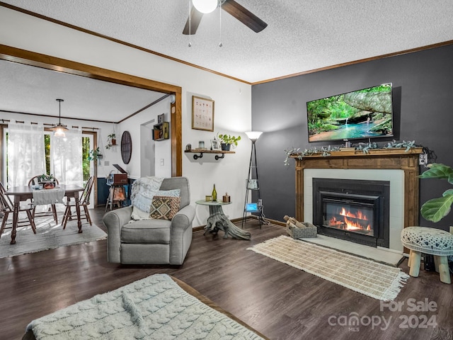 living room featuring ceiling fan, ornamental molding, a textured ceiling, and dark hardwood / wood-style flooring