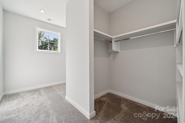 spacious closet featuring carpet flooring