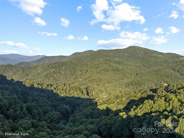 0000 Joslin Ln, Burnsville NC, 28714 land for sale