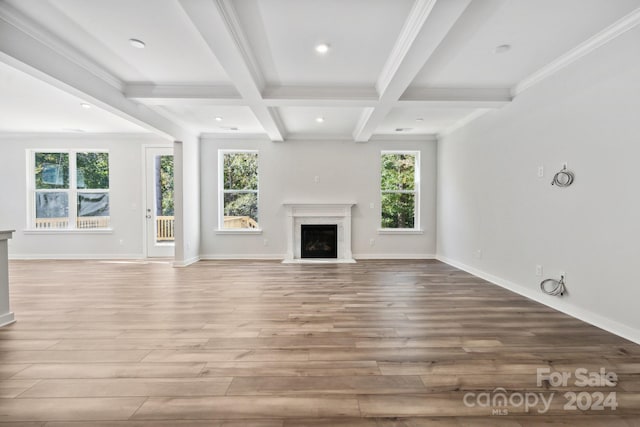 unfurnished living room with light hardwood / wood-style floors and a healthy amount of sunlight