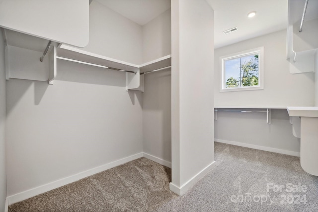 walk in closet featuring carpet